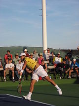 Fernando Verdasco