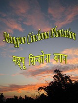 darjeeling hills