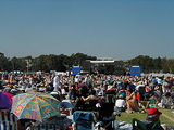 blues festival