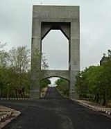 indian institute of forest management
