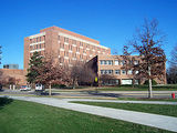 michigan state university