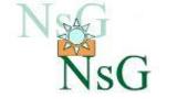 New Success Group