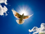 JESUS SAVES