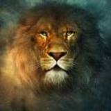 Ours Tigers