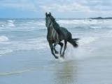enjoy ur life......