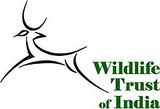 wildlife trust of india