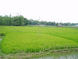sylhet