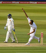 steven finn