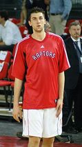 toronto raptors
