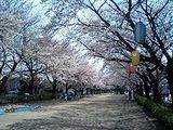 saitama