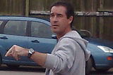bob taylor