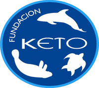 fundaci