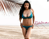 Hot WallPapers Collections