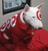 Bullseye (mascot)