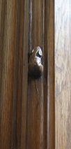 Robert (Mouseman) Thompson