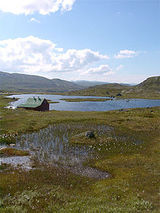 hardangervidda