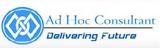 Ad Hoc Consultant