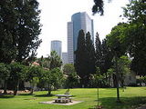 sarona