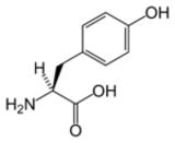Tyrosine (data page)