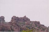 Vijayanagara metropolitan area