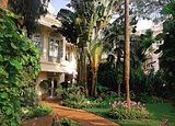 mandarin oriental