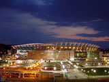 cincinnati bengals