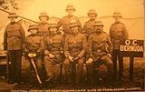 territorial army