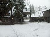 university of british columbia