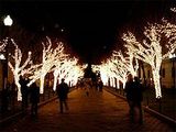 Columbia University traditions