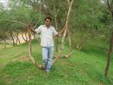 Raj Veer