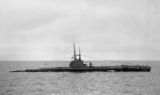 seawolf