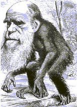 The Evolution Deceit