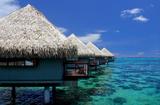 Dream Destination Tours