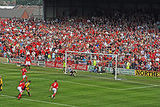 steve evans