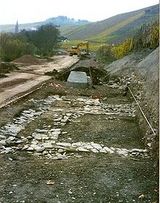 mosel