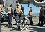 foreign disaster assistance