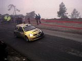 rallis