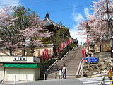 nara