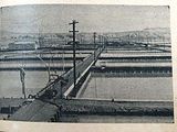 the dead sea