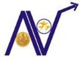 AVN HOLIDAY NETWORKS