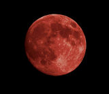 astrology of india