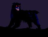 black dog