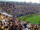 FIU Golden Panthers football