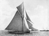 mayflower
