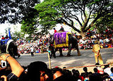 dasara