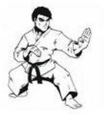 KARATE SATHEESH LEE