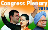 Congress Introspection 2010