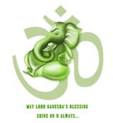 Shree Vinayak Associates