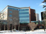 faculty of engineering