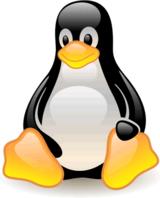 free software foundation